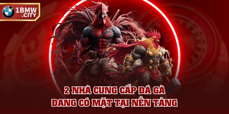 2 nhà cung cấp đá gà đang có mặt tại nền tảng 2 nhà cung cấp đá gà đang có mặt tại nền tảng