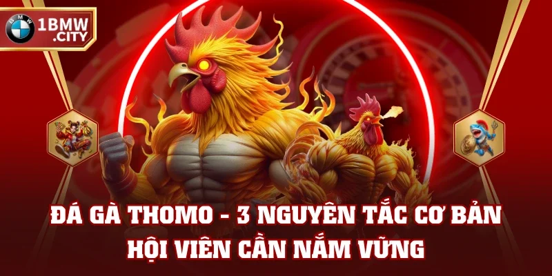 Đá Gà Thomo