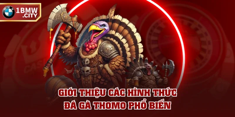Giới thiệu các hình thức đá gà Thomo phổ biến Giới thiệu các hình thức đá gà Thomo phổ biến