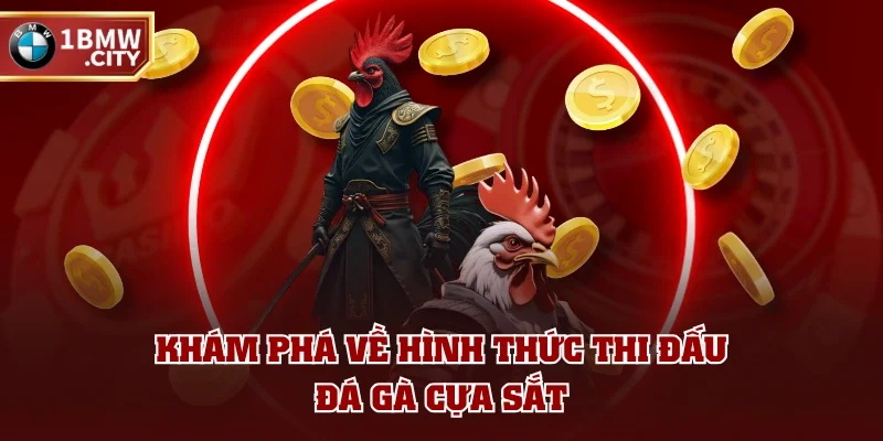 Khám phá về hình thức thi đấu đá gà cựa sắt Khám phá về hình thức thi đấu đá gà cựa sắt