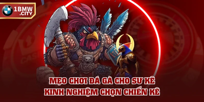 Mẹo chơi đá gà cho sư kê - Kinh nghiệm chọn chiến kê Mẹo chơi đá gà cho sư kê - Kinh nghiệm chọn chiến kê