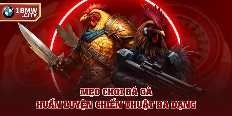Mẹo chơi đá gà - Huấn luyện chiến thuật đa dạng Mẹo chơi đá gà - Huấn luyện chiến thuật đa dạng