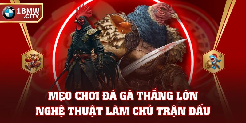Mẹo Chơi Đá Gà