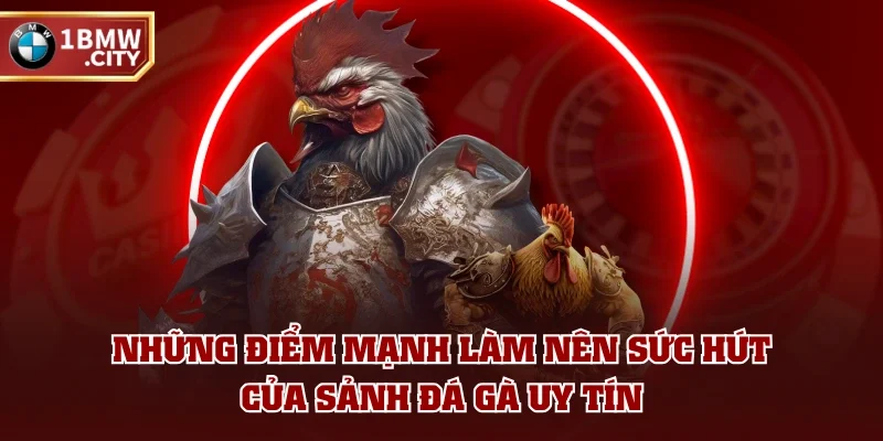 Những điểm mạnh làm nên sức hút của sảnh đá gà uy tín Những điểm mạnh làm nên sức hút của sảnh đá gà uy tín