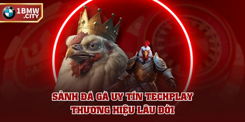 Sảnh đá gà uy tín Techplay - Thương hiệu lâu đời Sảnh đá gà uy tín Techplay - Thương hiệu lâu đời