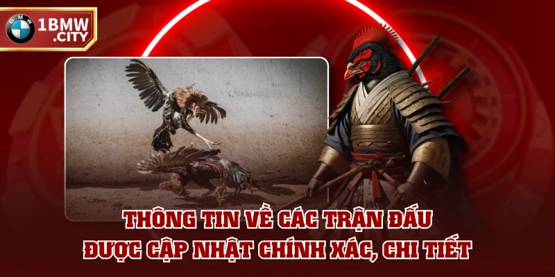 Thông tin về các trận đấu được cập nhật chính xác, chi tiết Thông tin về các trận đấu được cập nhật chính xác, chi tiết